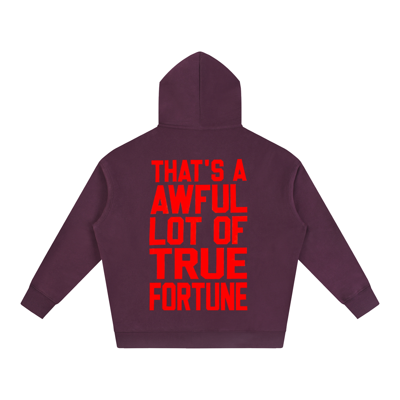 ALOCS X TDF COLLAB HOODIE